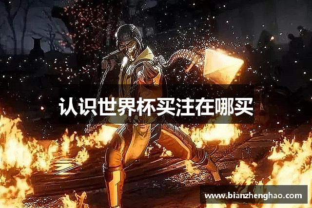 认识世界杯买注在哪买