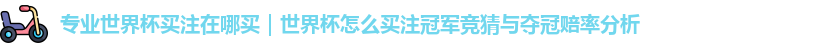 世界杯买注在哪买
